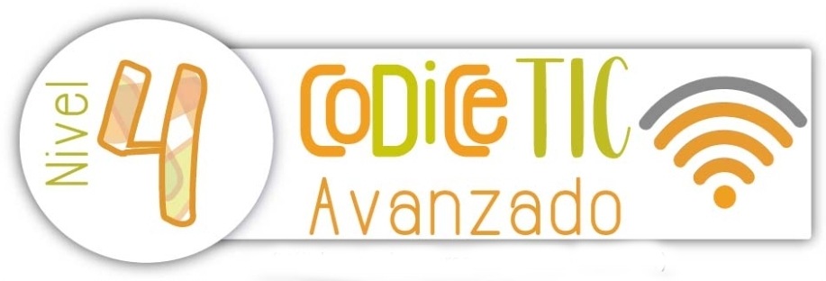 CODICE TIC 4